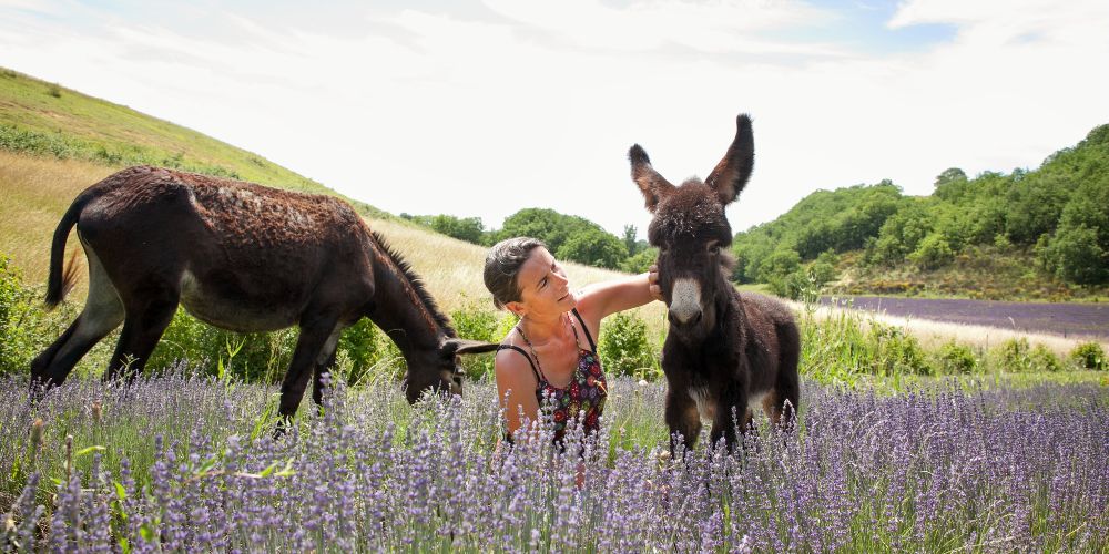 ferme-du-hitton-christelle-quessada-collection-tourisme-gers