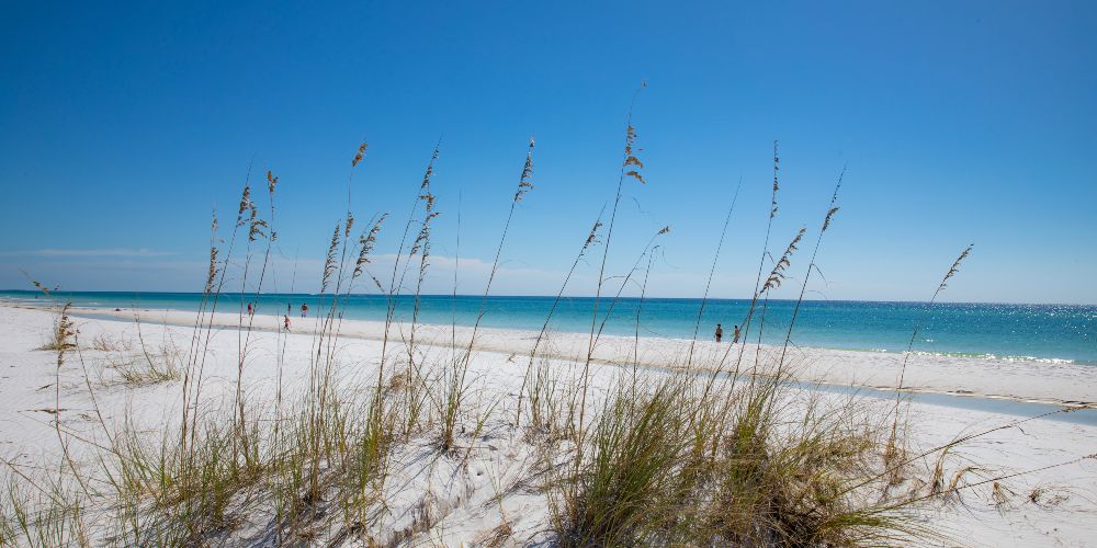 shell-island-beach-st-andrews-state-park