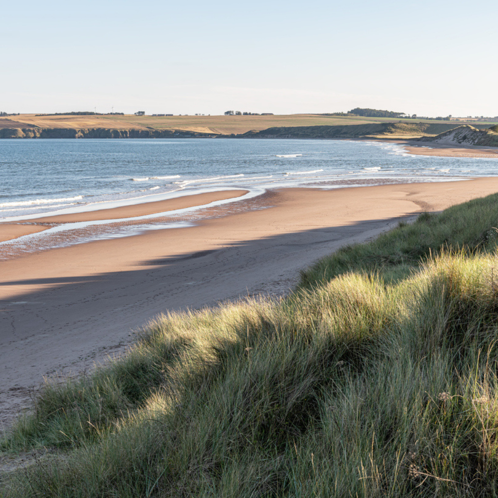 Lunan Bay