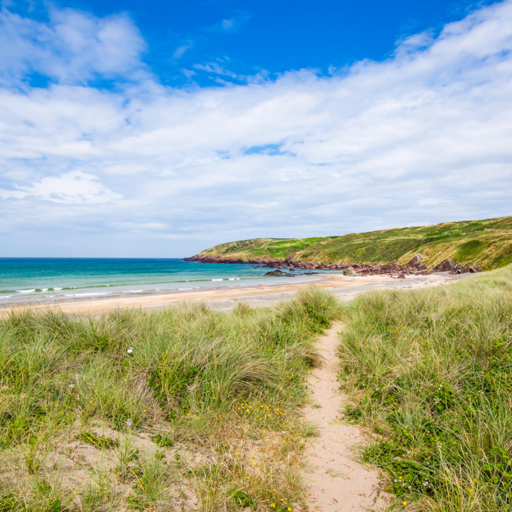 Freshwater West