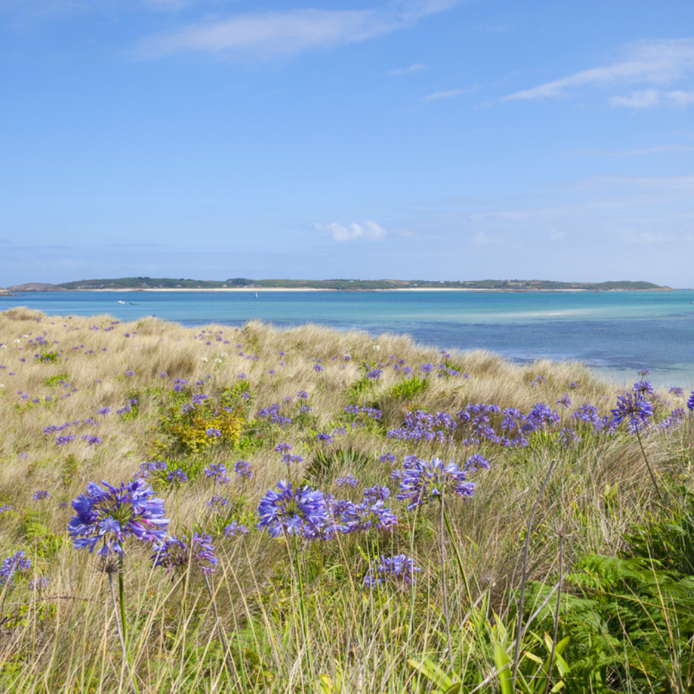 Pentle Bay