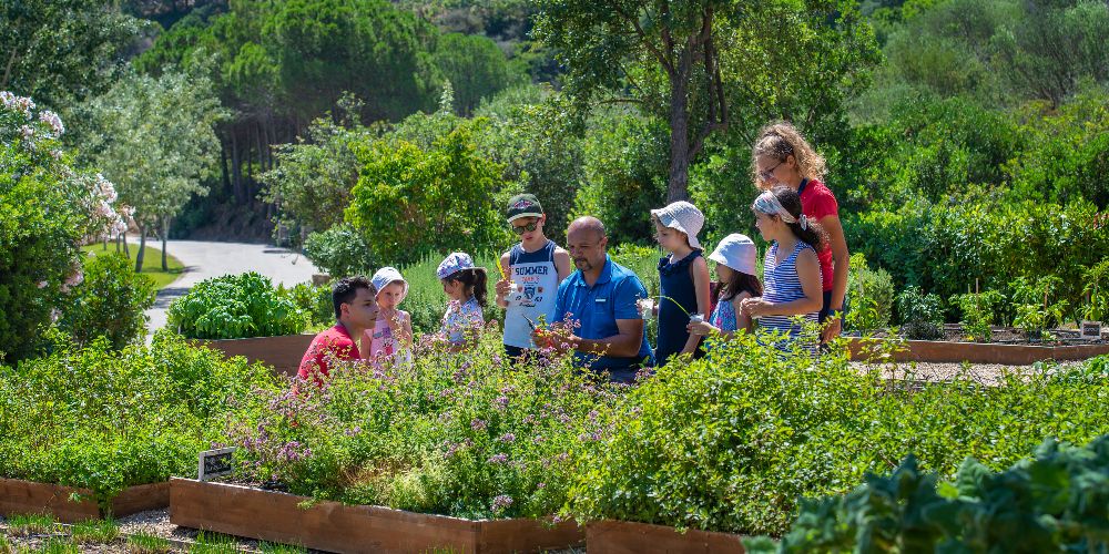 children-gardening-in-italy-summer