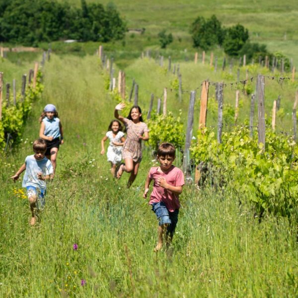 children-running-through-vineyard-on-holiday-in-france