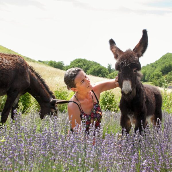 woman-in-lavender-field-with-donkeys-south-west-france