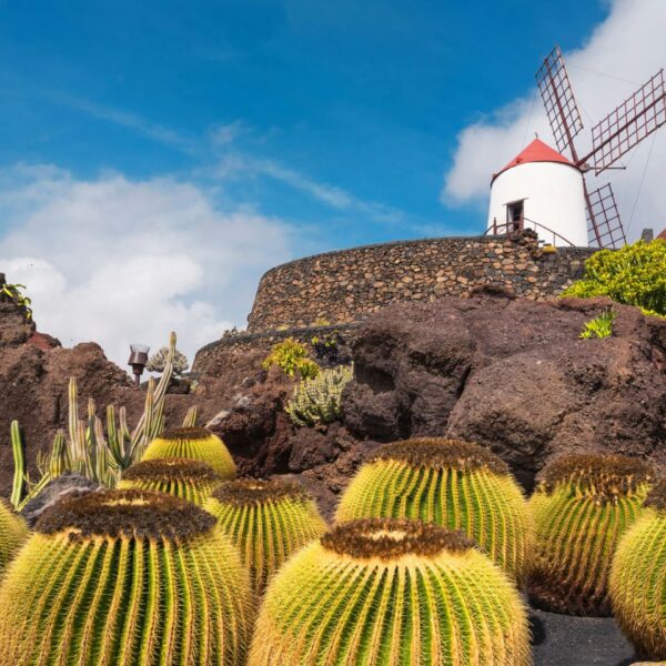 lanzarote-cactus-garden