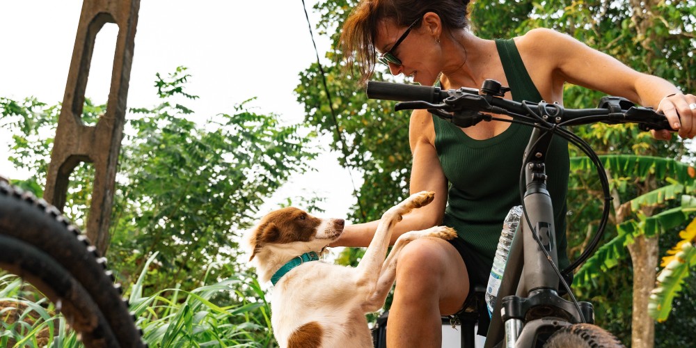 woman-on-bike-with-dog-holiday-in-sri-lanka