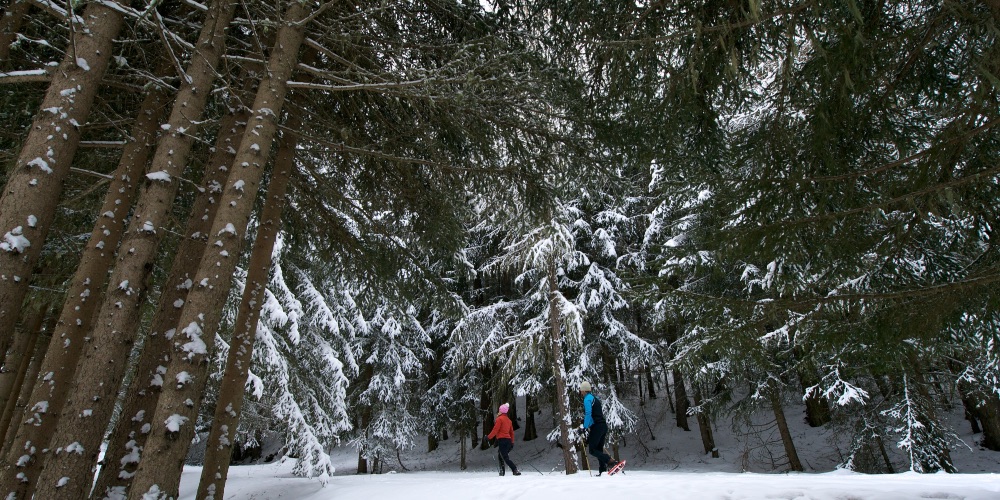 snowshoeing-gran-paradiso-aosta-valley