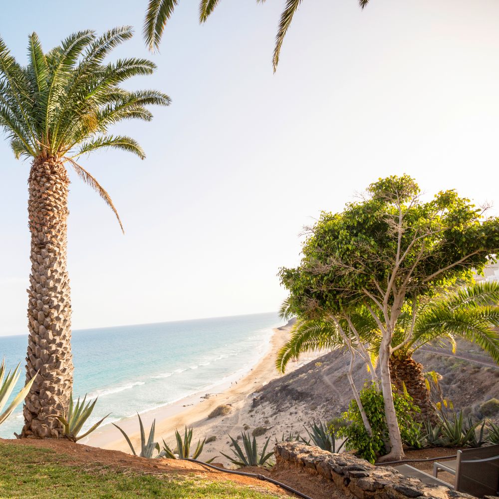esquinzo-playa-fuerteventura-resort-beach