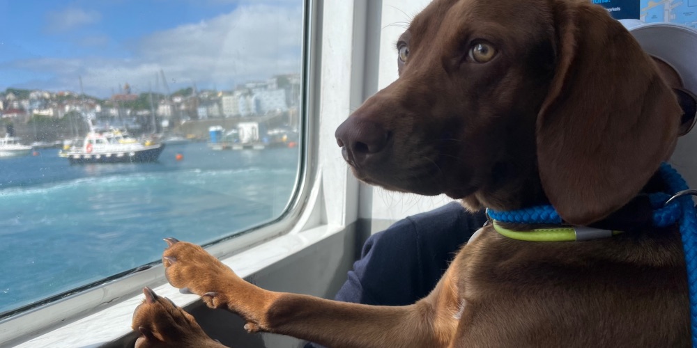 Hugo-ferry-guernsey