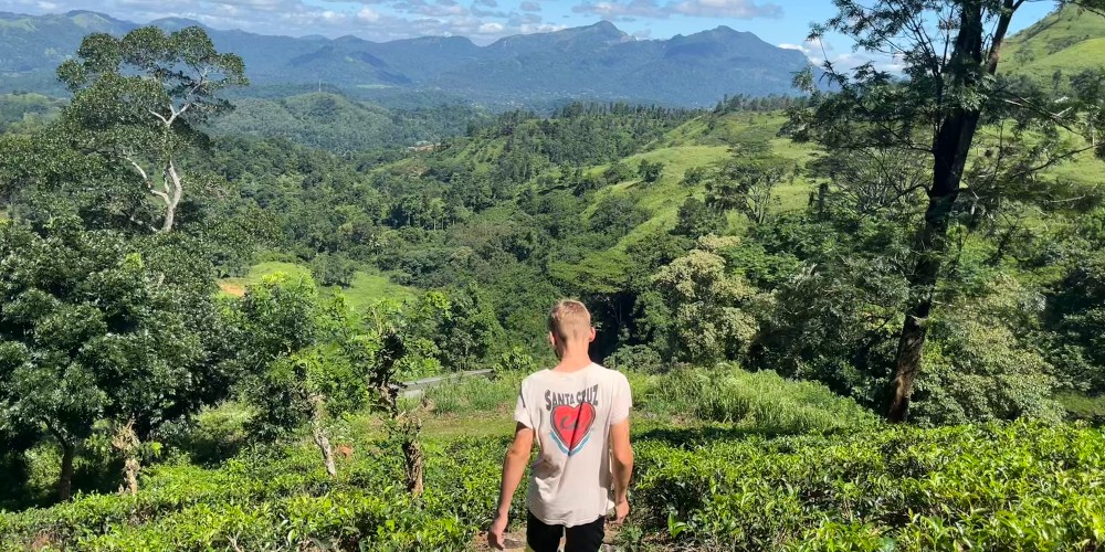 boy-hiking-tea-plantation-central-sri-lanka