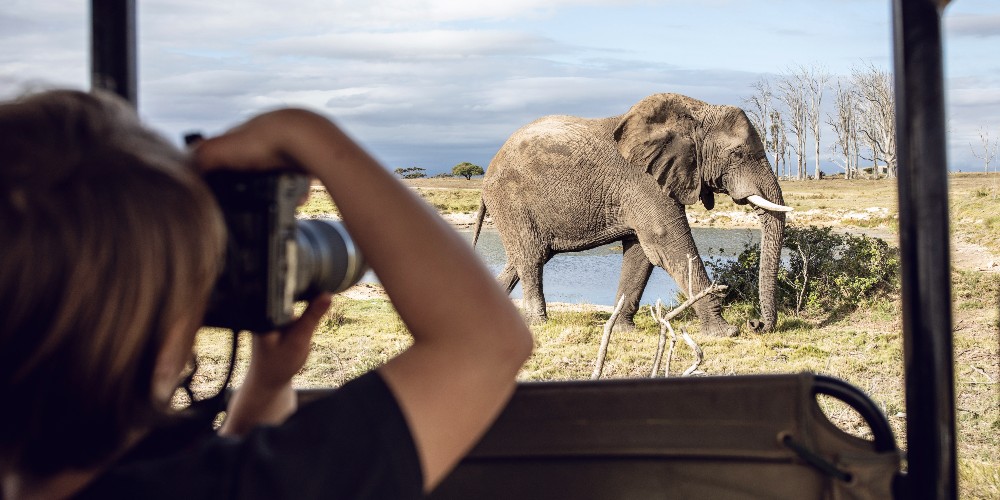 child-taking-pictures-of-elephant-south-africa