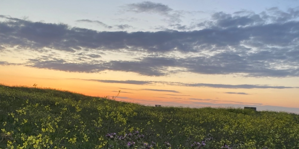 Guernsey-sunset-alistair-heap