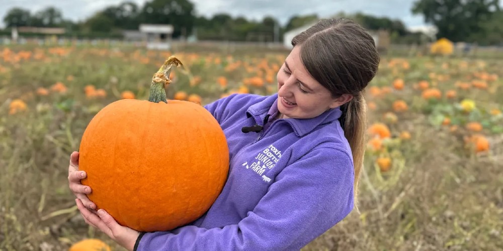 wroxham-barns-pumpkin-woman-norfolk