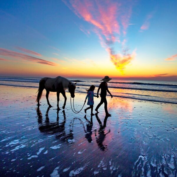 Amelia-island-horseriding