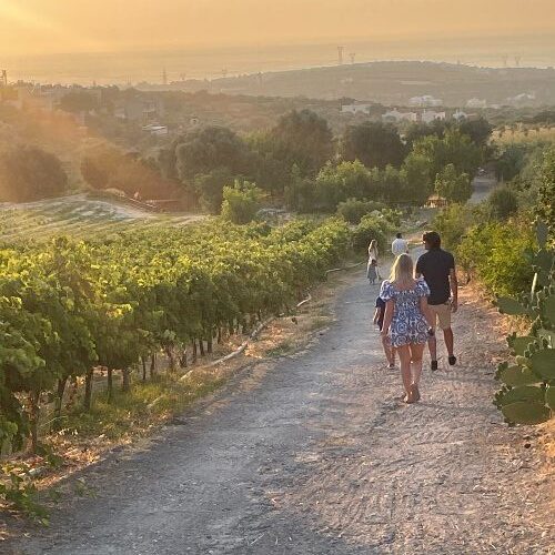 family-walking-in-vineyards-greece