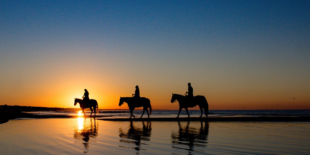 horseback-riding-cape-san-blas