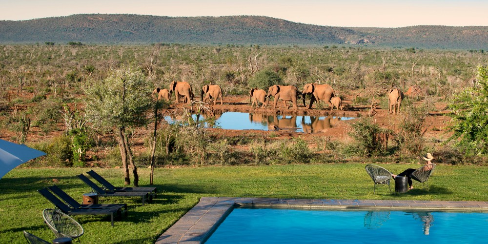 lelapa-lodge-madikwe-game-reserve