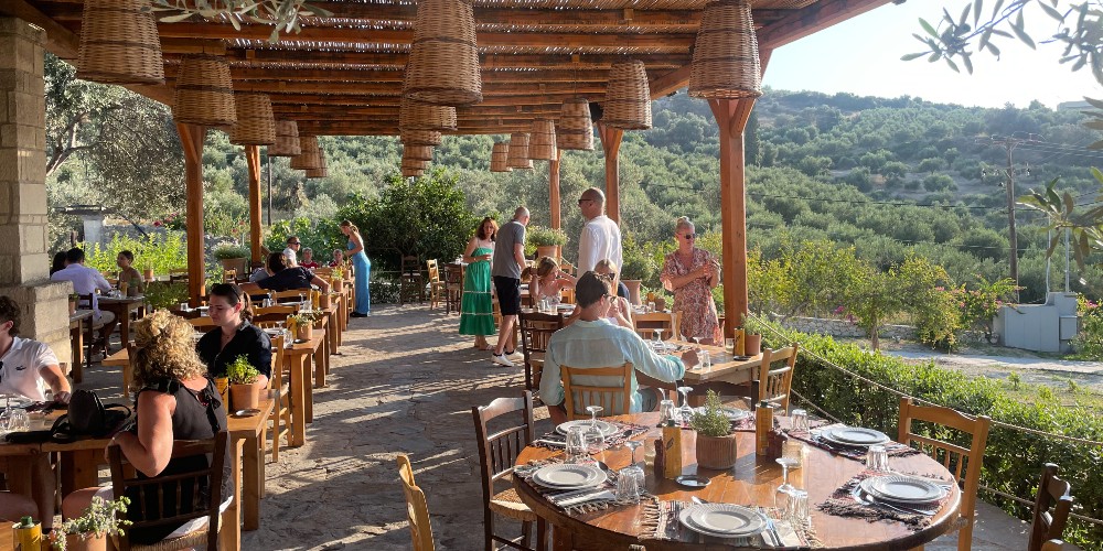 organic-farm-restaurant-terrace