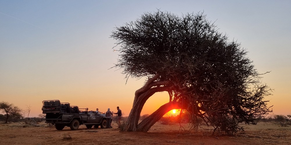 sunset-game-drive-madikwe-first-family-safari