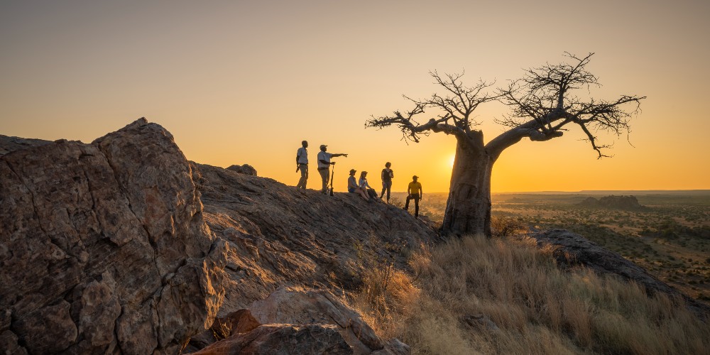 sunset-game-drive-mashatu-botswana