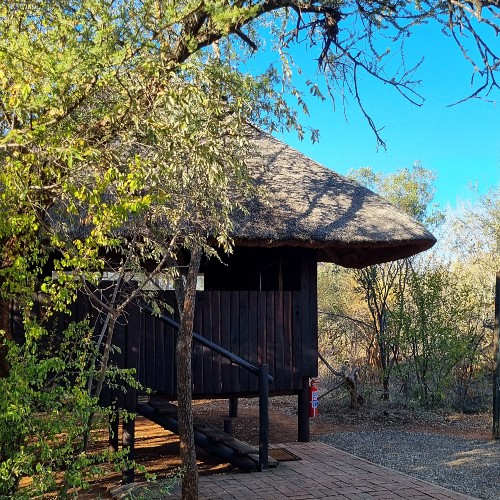 wooden-cabin-mosetlha-bush-camp