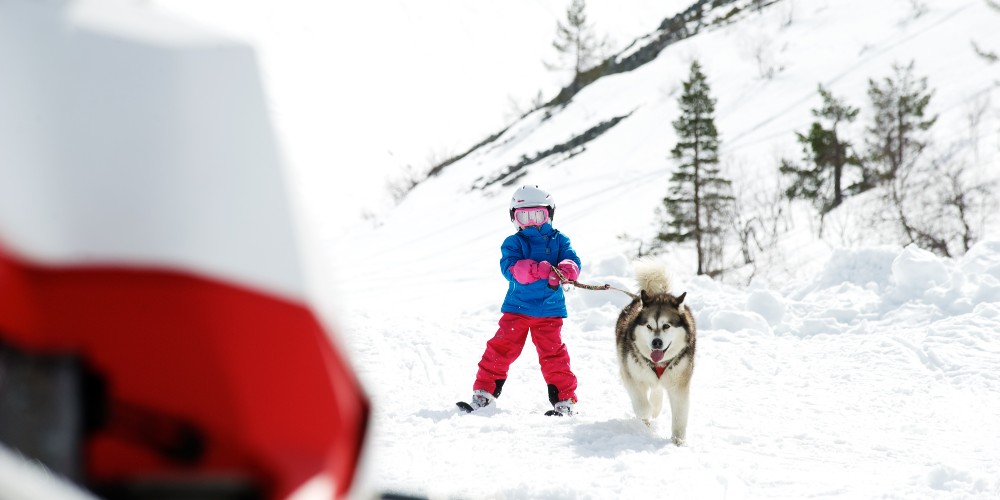 Snow wise: the essential Family Traveller ski guide for snow-loving families