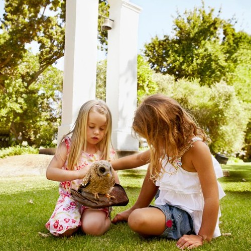 children-with-owl-stellenbosch