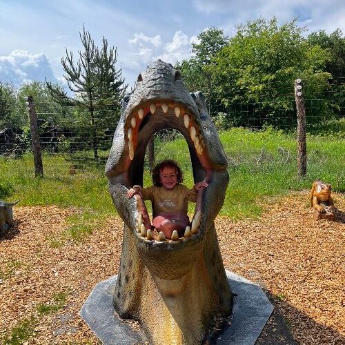 little-boy-with-dinosaur-givskud-zoo