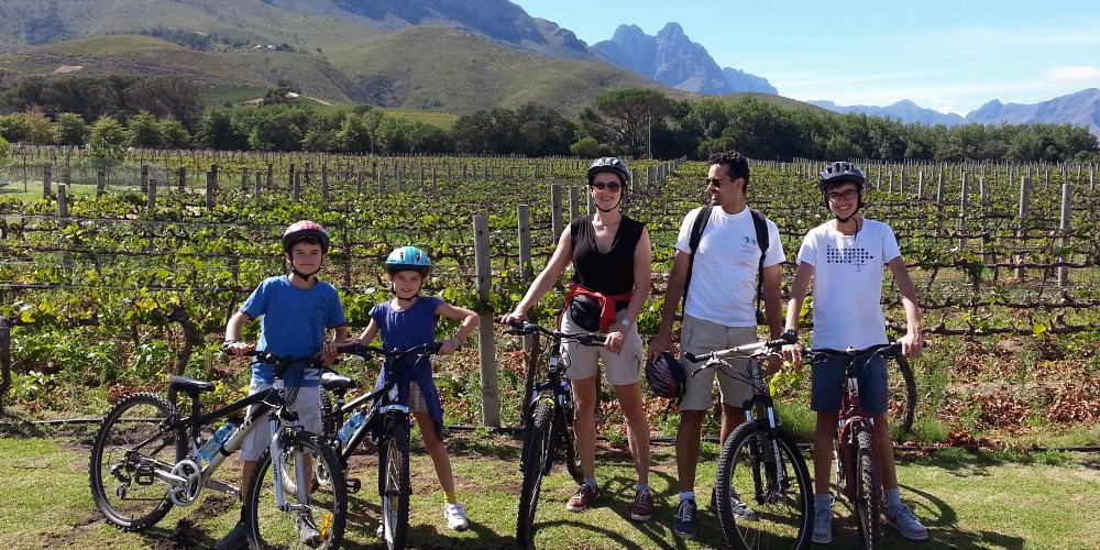 vineyard-bike-tour-family-holiday-in-south-africa