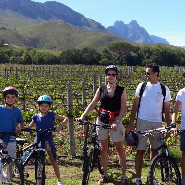 vineyard-cycling-family-holiday-in-south-africa