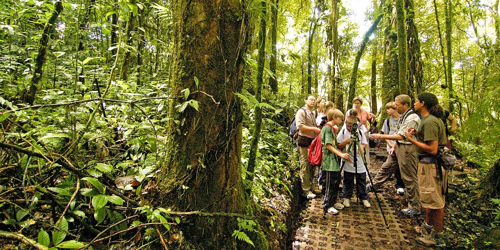 children-monteverde-costa-rica-family-holidays-to-latin-america