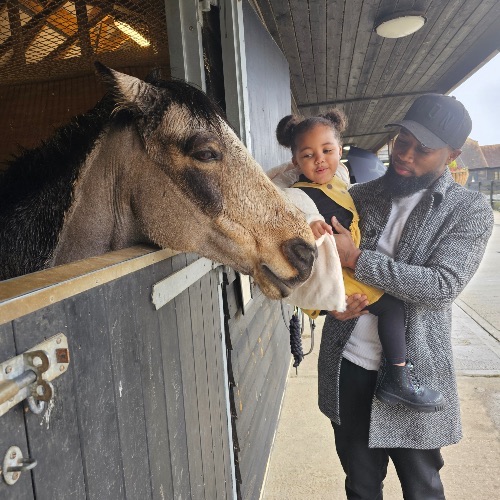 stables-four-seasons-hampshire-famuly-uk-breaks