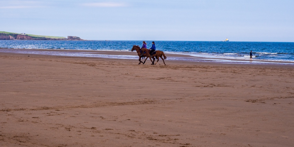 lunan-bay-horse-riding