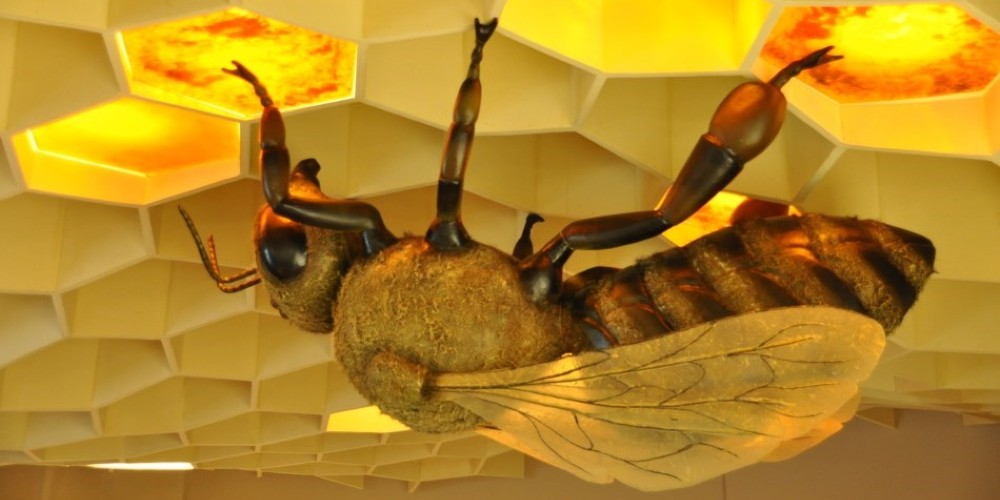 bee-museum-rhodes-family-holiday