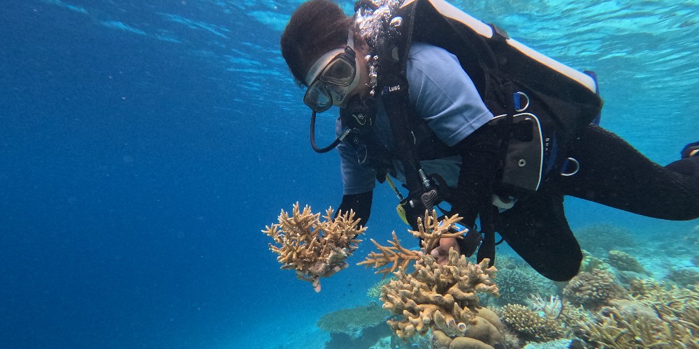 coral-reef-dive-rascal-voyages-the-sea-people