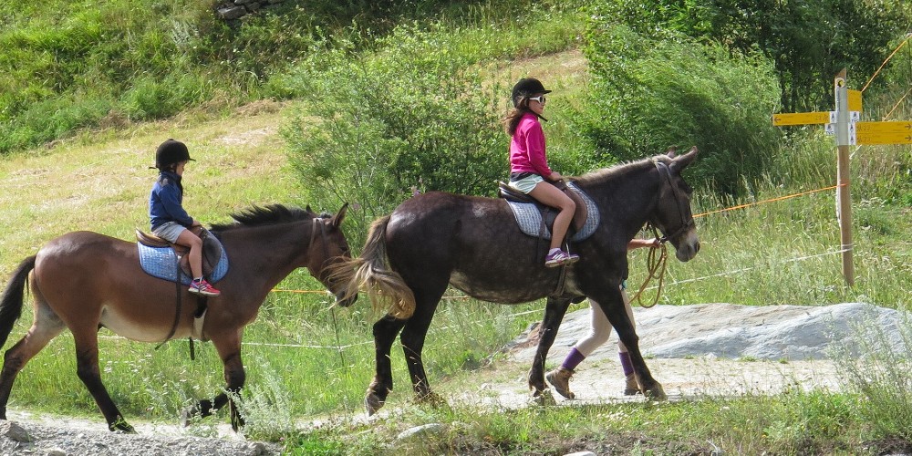 horse-riding-children-gran-paradiso-summer-in-aosta-valley