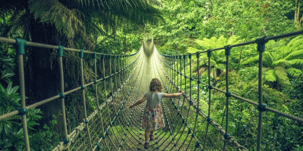 rope-bridge-heligan
