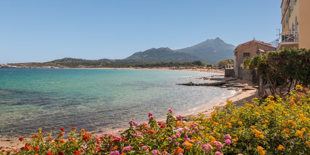 algajola-beach-france
