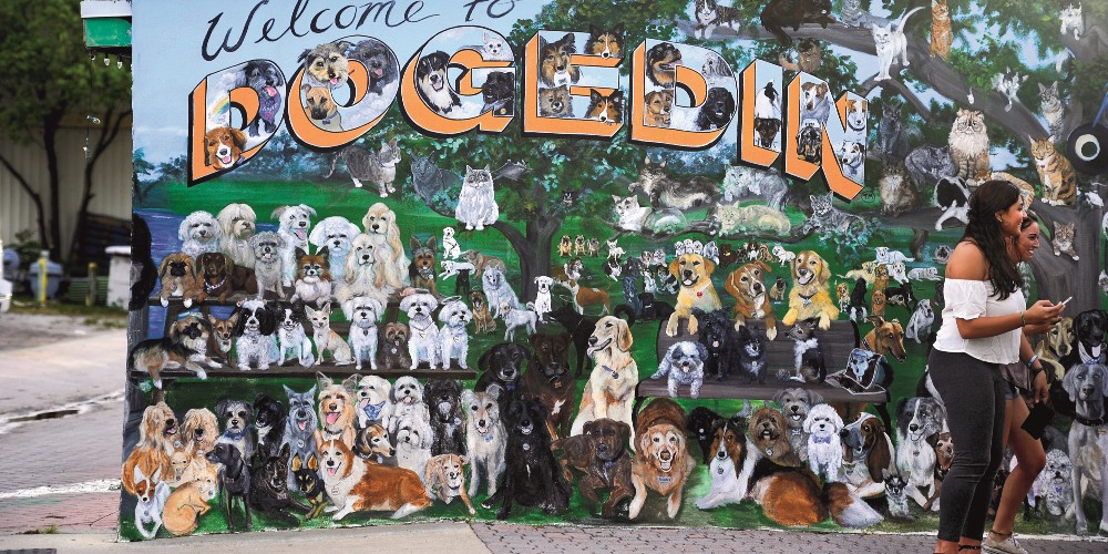 dogedin-mural-dunedin-st-pete-clearwater
