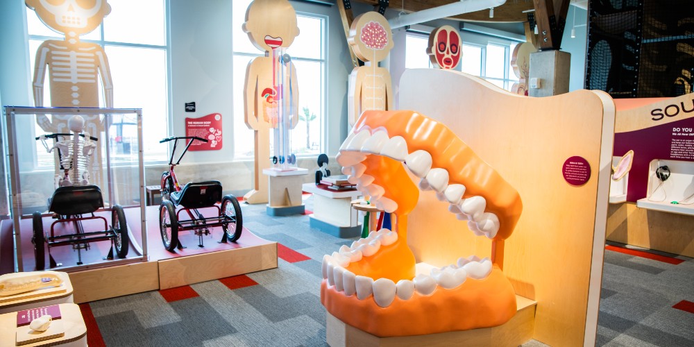 health-gallery-port-wonder-lake-charles