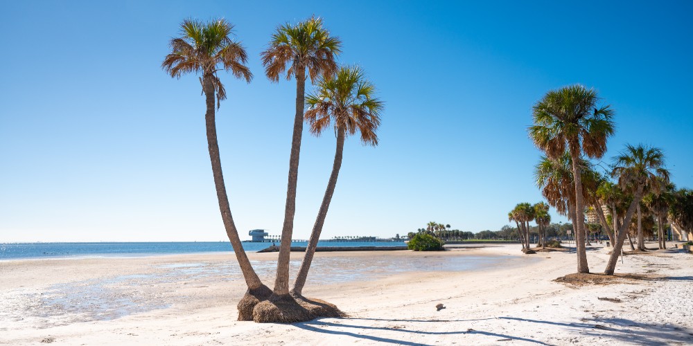 north-shore-park-beach