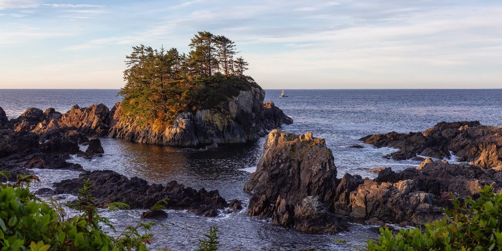 wild-pacifc-trail-ucluelet-vancouver-island