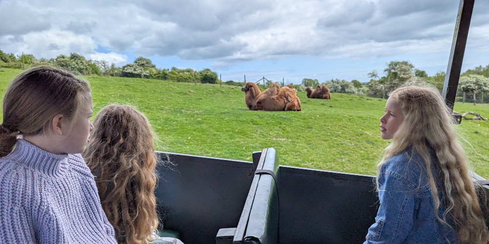 Days of Wonder: irresistible family glamping breaks in Kent and the Cotswolds