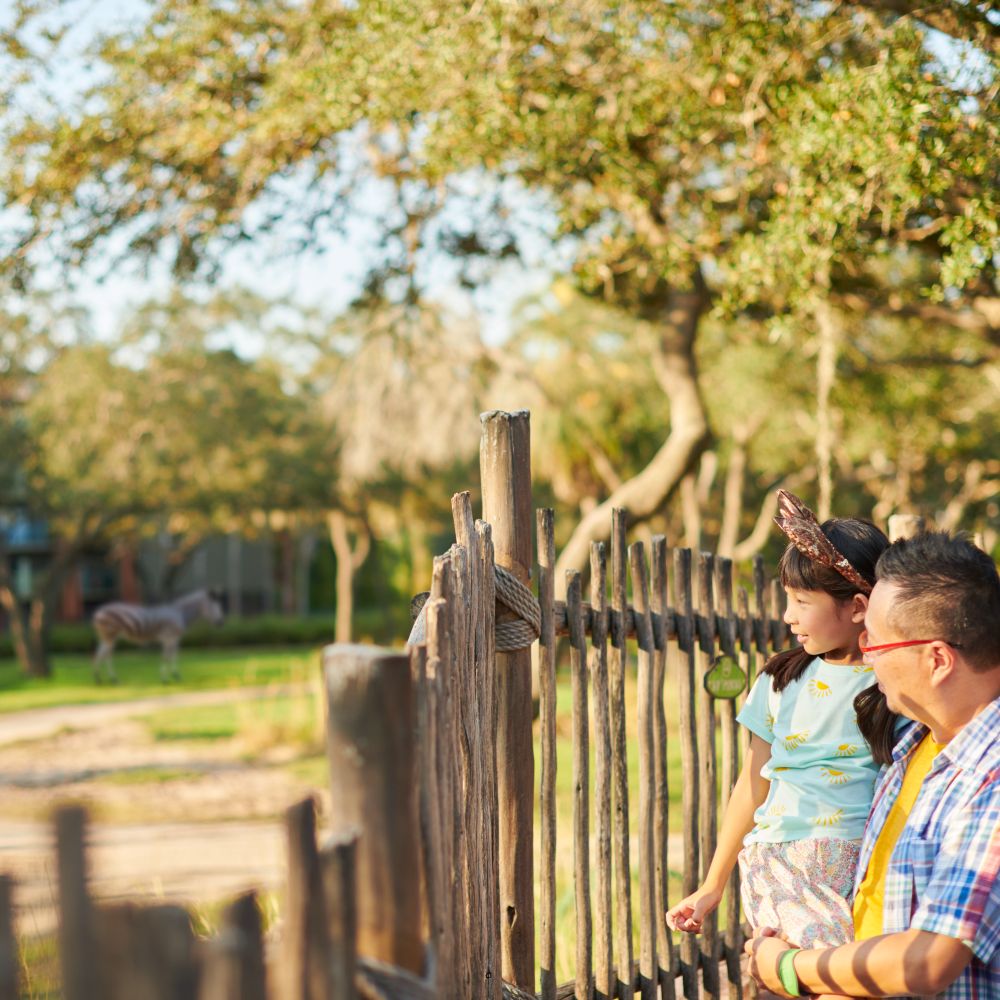 animal-kingdom-park-disney-resort-hotel