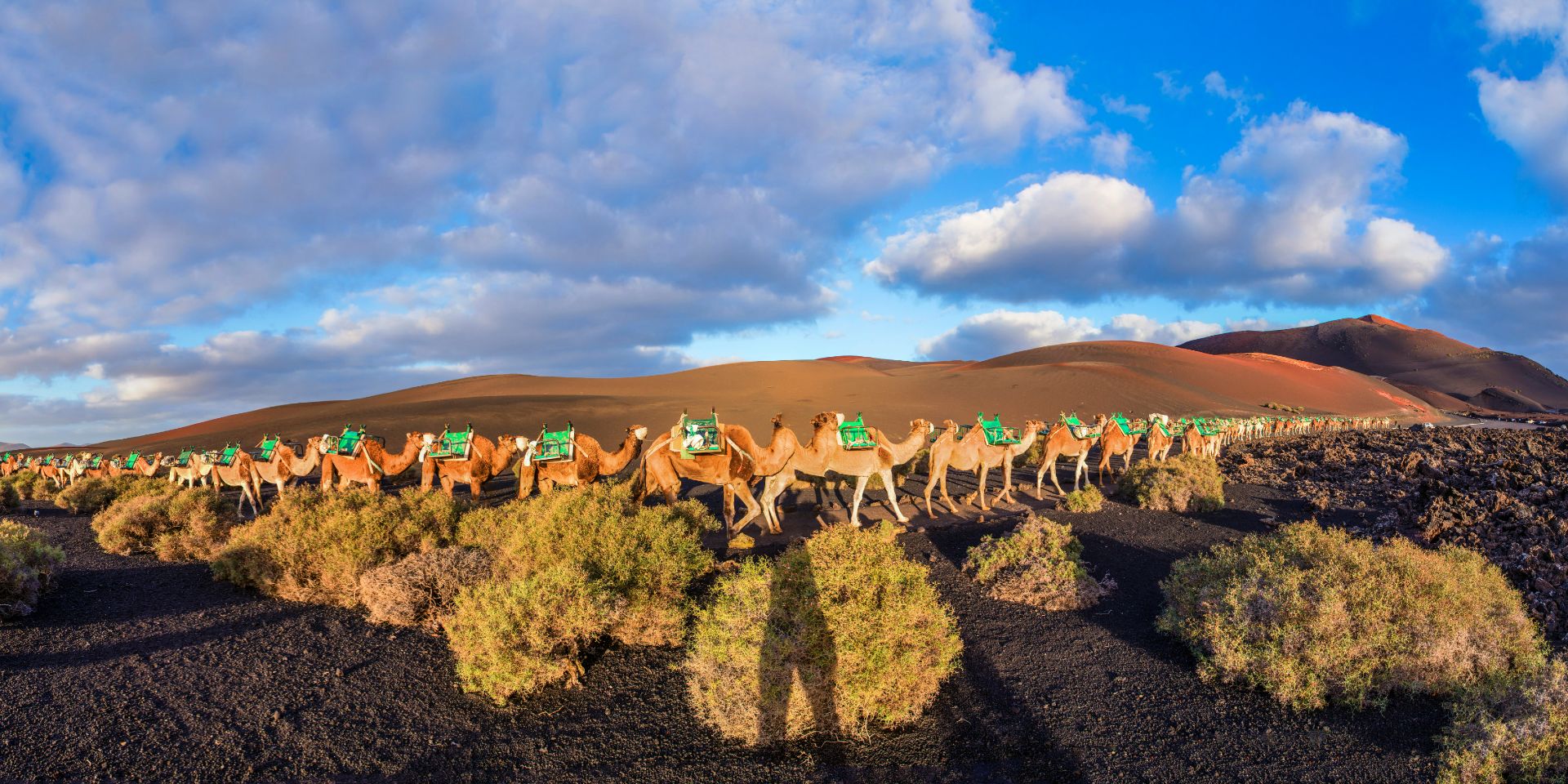 Lanzarote