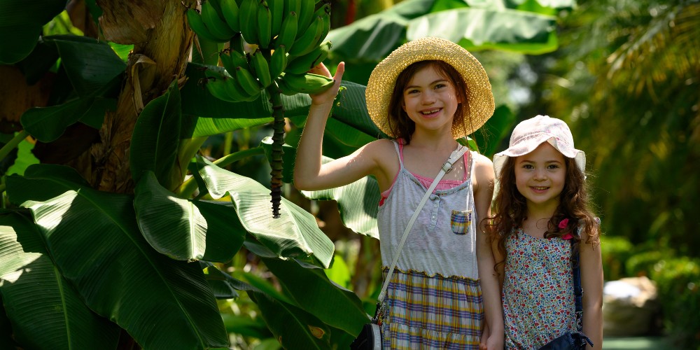 Go Wild in Costa Rica for a Family Adventure Like No Other