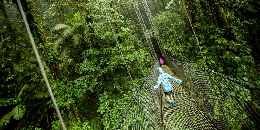 kids-rainforest-canopy-tour