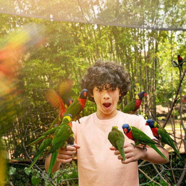 boy-with-parrots-south-carolina-family-holiday