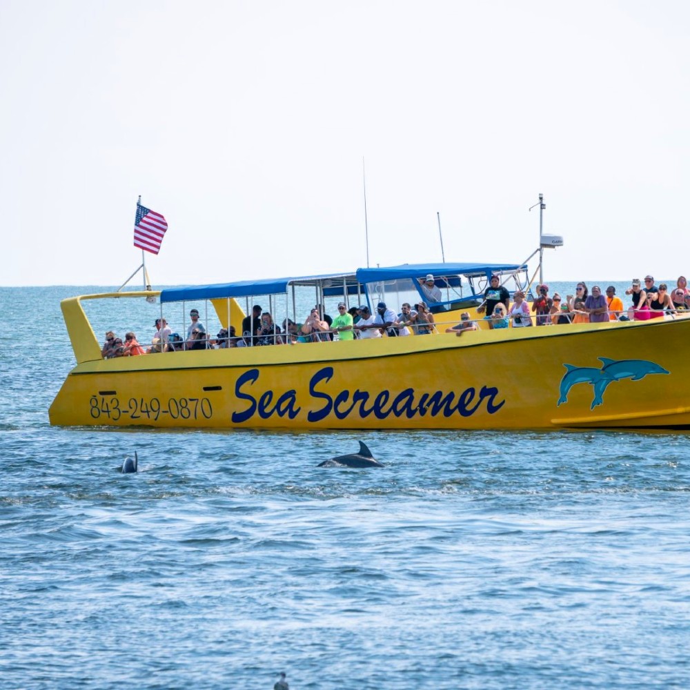 dolphin-tour-south-carolina-beach-holiday