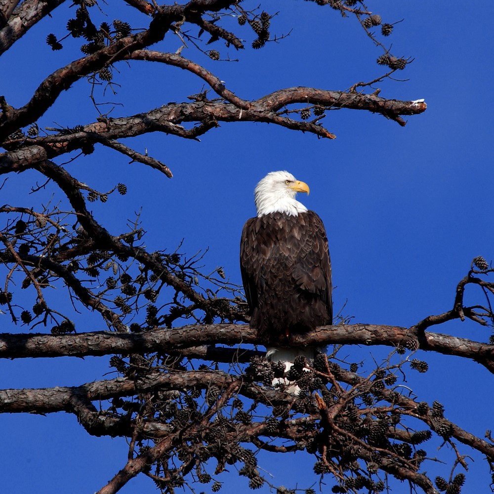 eagle-lake-ouachita-state-park-arkansas-family-holiday
